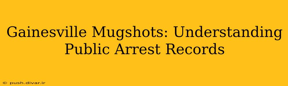 Gainesville Mugshots: Understanding Public Arrest Records