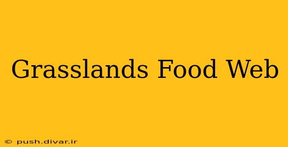 Grasslands Food Web