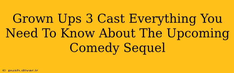 Grown Ups 3 Cast Everything You Need To Know About The Upcoming Comedy Sequel