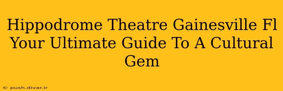 Hippodrome Theatre Gainesville Fl Your Ultimate Guide To A Cultural Gem