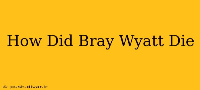 How Did Bray Wyatt Die