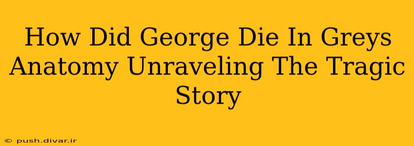 How Did George Die In Greys Anatomy Unraveling The Tragic Story
