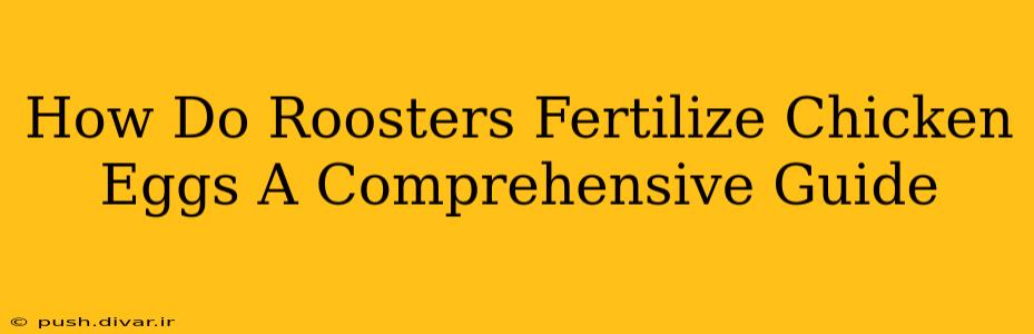How Do Roosters Fertilize Chicken Eggs A Comprehensive Guide