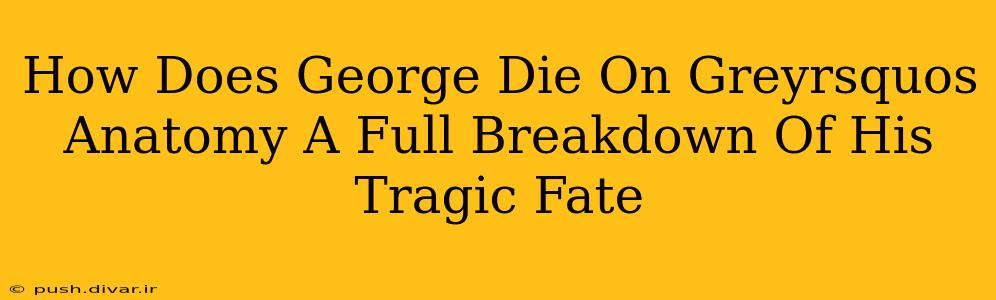 How Does George Die On Greyrsquos Anatomy A Full Breakdown Of His Tragic Fate