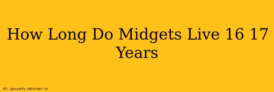 How Long Do Midgets Live 16 17 Years