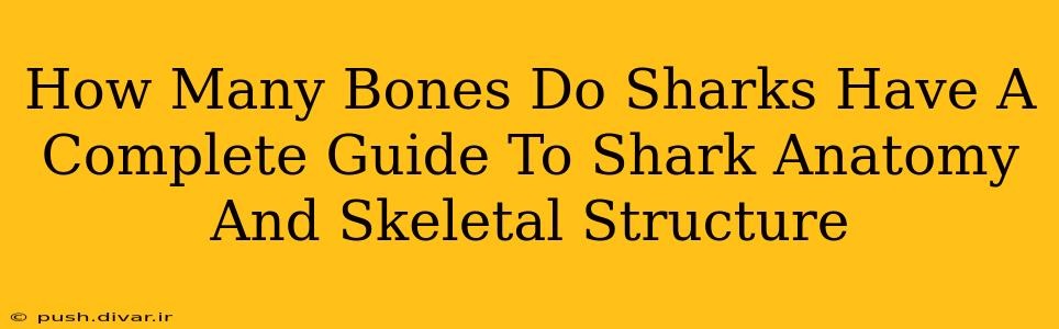 How Many Bones Do Sharks Have A Complete Guide To Shark Anatomy And Skeletal Structure