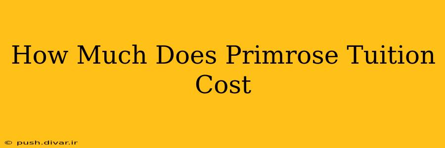 How Much Does Primrose Tuition Cost