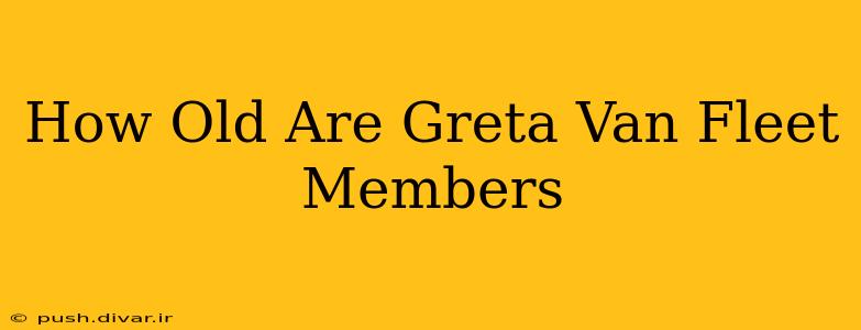How Old Are Greta Van Fleet Members