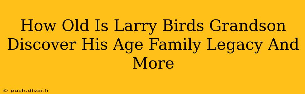 How Old Is Larry Birds Grandson Discover His Age Family Legacy And More