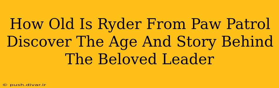 How Old Is Ryder From Paw Patrol Discover The Age And Story Behind The Beloved Leader