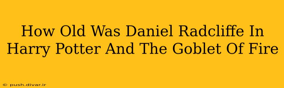 How Old Was Daniel Radcliffe In Harry Potter And The Goblet Of Fire