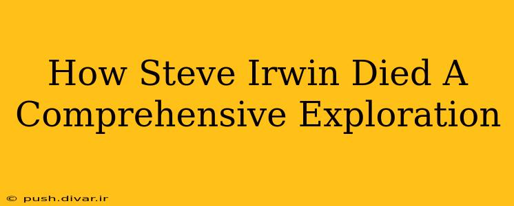 How Steve Irwin Died A Comprehensive Exploration