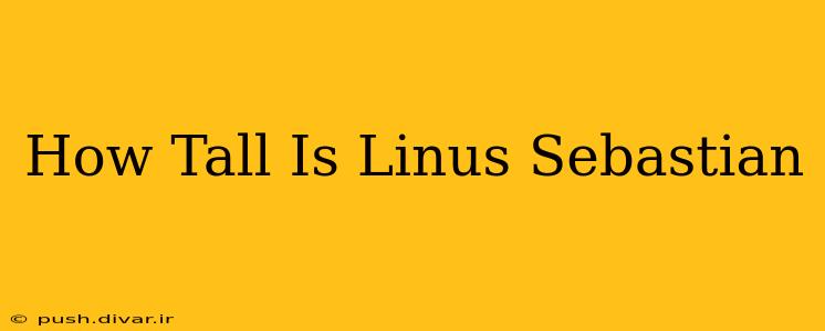 How Tall Is Linus Sebastian