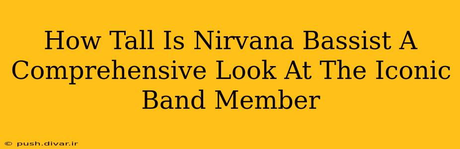 How Tall Is Nirvana Bassist A Comprehensive Look At The Iconic Band Member