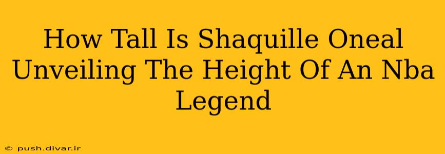 How Tall Is Shaquille Oneal Unveiling The Height Of An Nba Legend