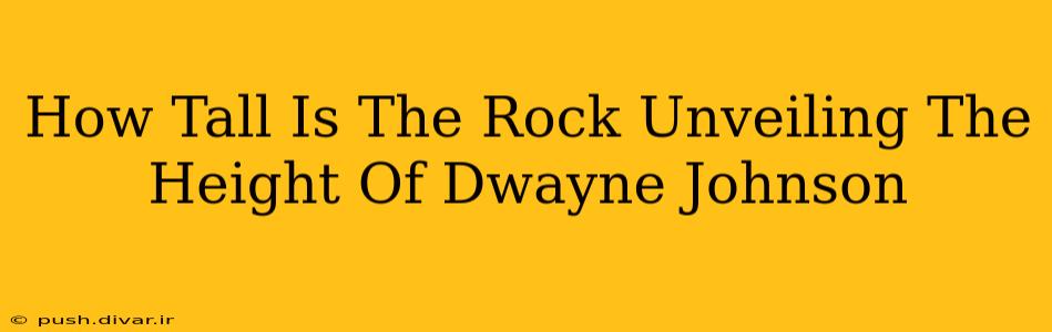 How Tall Is The Rock Unveiling The Height Of Dwayne Johnson