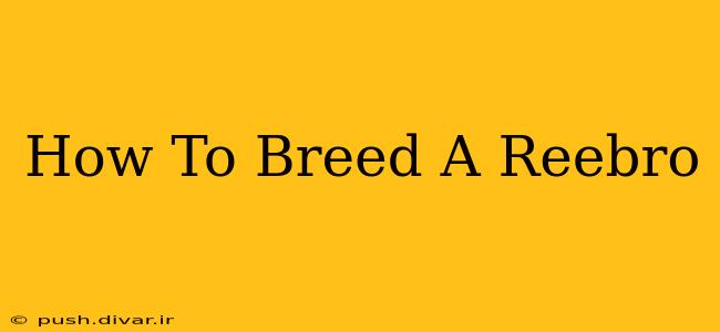 How To Breed A Reebro