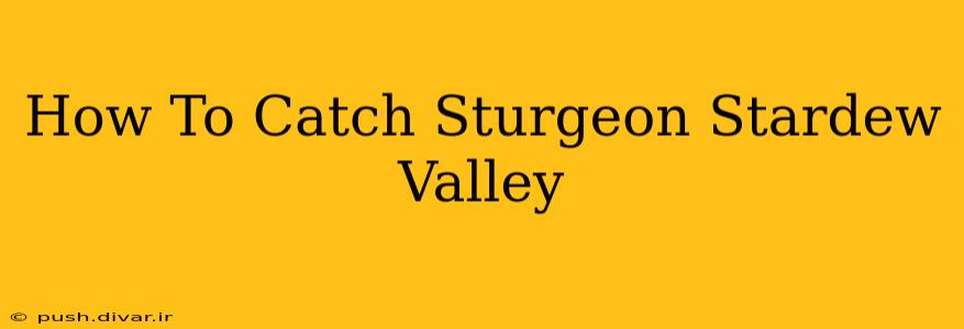 How To Catch Sturgeon Stardew Valley