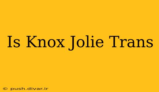 Is Knox Jolie Trans