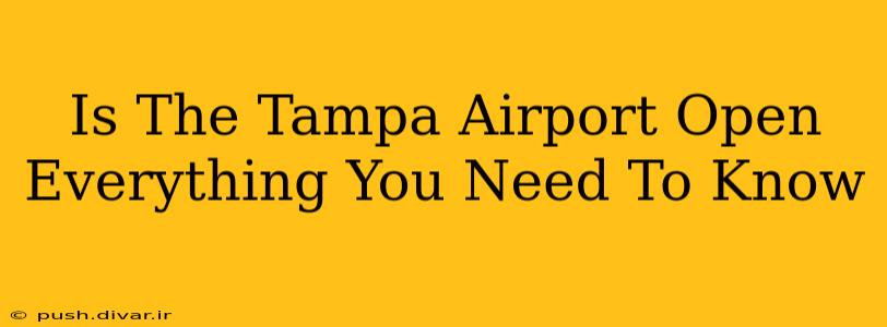 Is The Tampa Airport Open Everything You Need To Know
