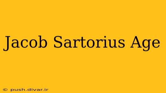 Jacob Sartorius Age