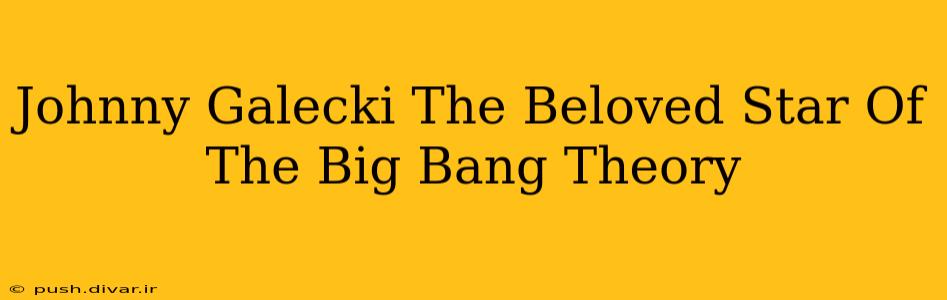 Johnny Galecki The Beloved Star Of The Big Bang Theory