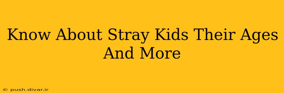Know About Stray Kids Their Ages And More