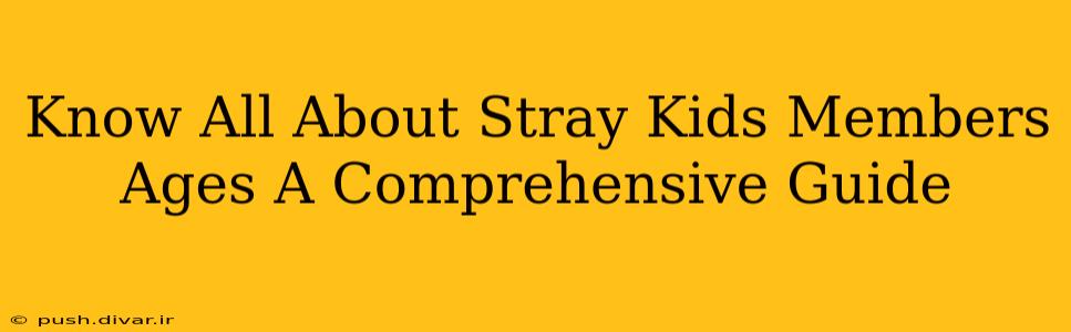 Know All About Stray Kids Members Ages A Comprehensive Guide