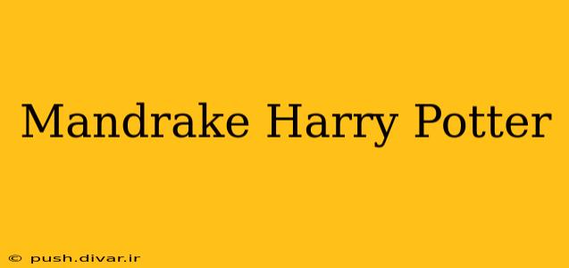 Mandrake Harry Potter
