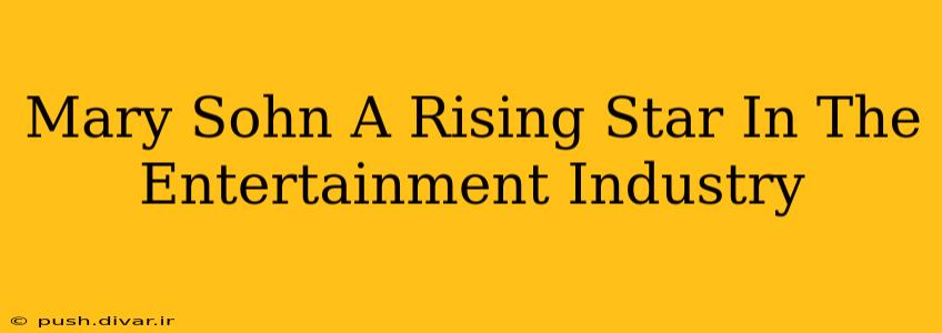 Mary Sohn A Rising Star In The Entertainment Industry