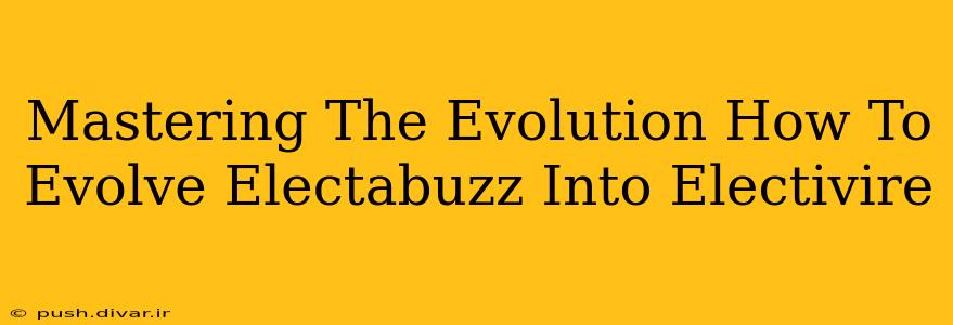Mastering The Evolution How To Evolve Electabuzz Into Electivire