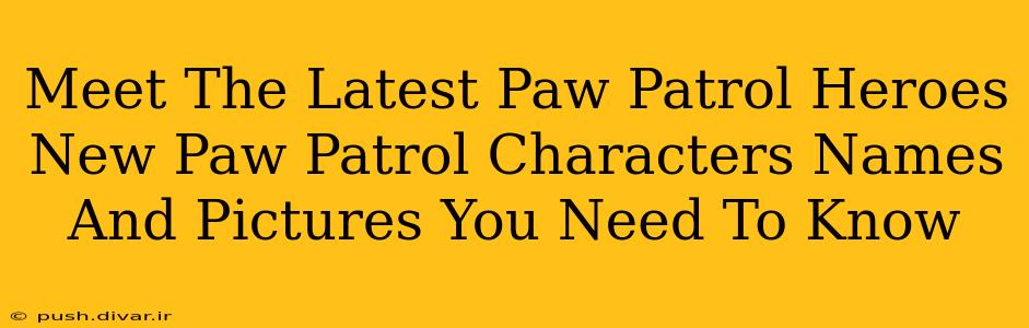 Meet The Latest Paw Patrol Heroes New Paw Patrol Characters Names And Pictures You Need To Know