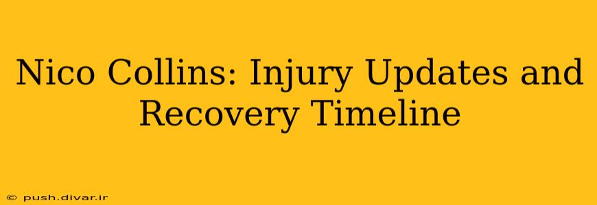 Nico Collins: Injury Updates and Recovery Timeline