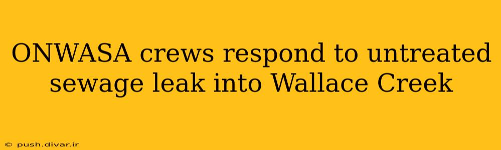 ONWASA crews respond to untreated sewage leak into Wallace Creek