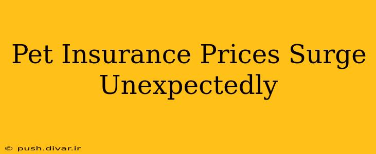 Pet Insurance Prices Surge Unexpectedly