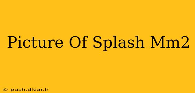 Picture Of Splash Mm2