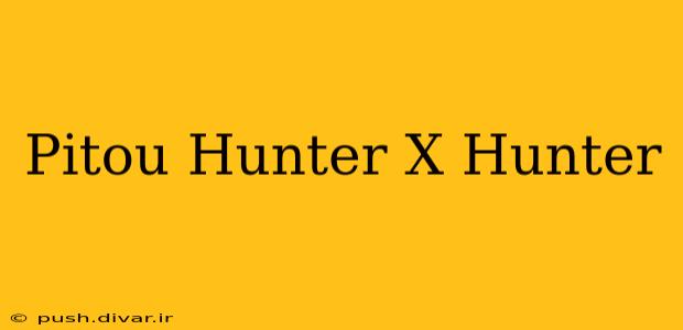 Pitou Hunter X Hunter
