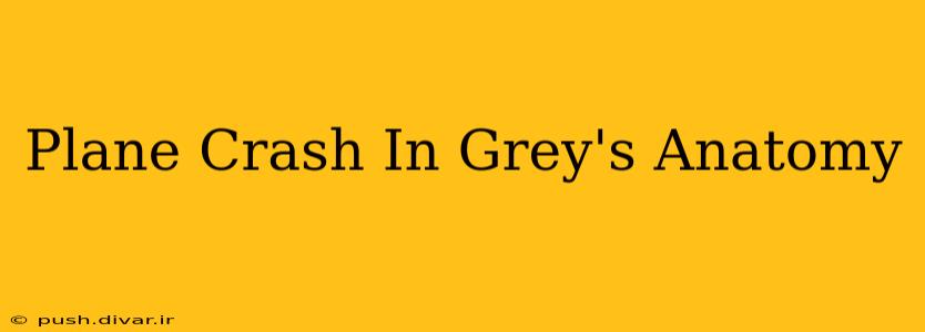 Plane Crash In Grey's Anatomy