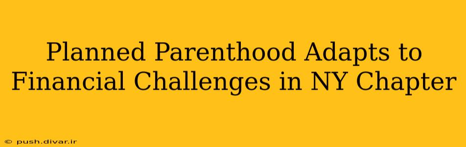 Planned Parenthood Adapts to Financial Challenges in NY Chapter