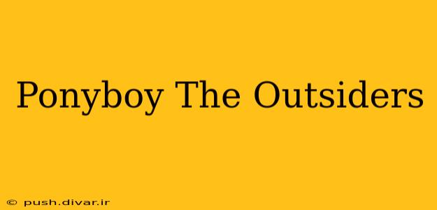 Ponyboy The Outsiders