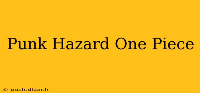 Punk Hazard One Piece