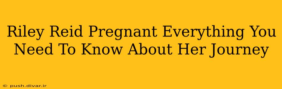 Riley Reid Pregnant Everything You Need To Know About Her Journey