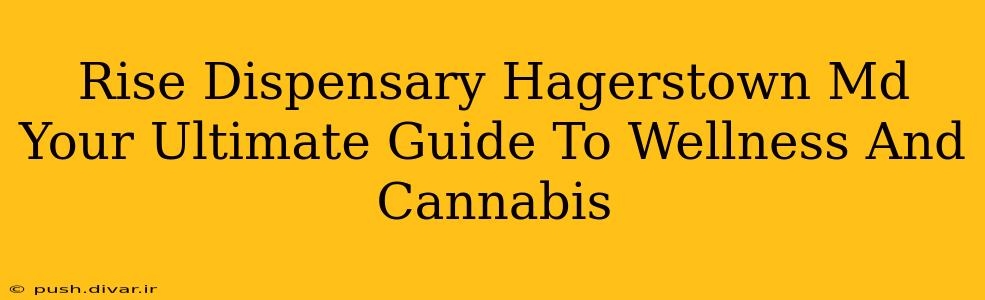 Rise Dispensary Hagerstown Md Your Ultimate Guide To Wellness And Cannabis