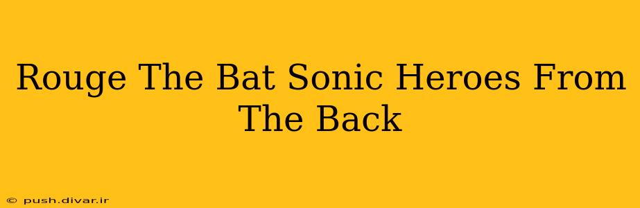 Rouge The Bat Sonic Heroes From The Back