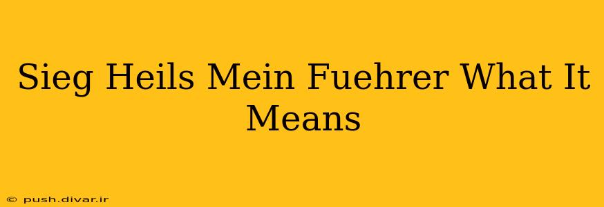Sieg Heils Mein Fuehrer What It Means