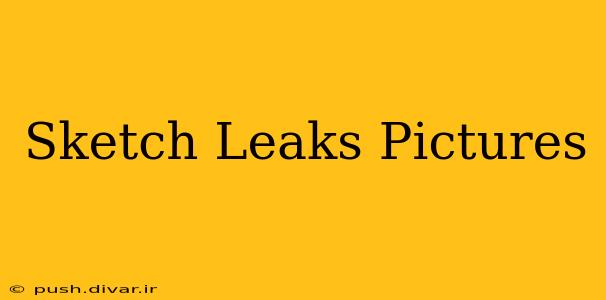 Sketch Leaks Pictures