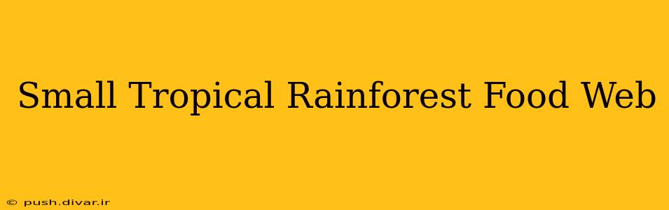 Small Tropical Rainforest Food Web