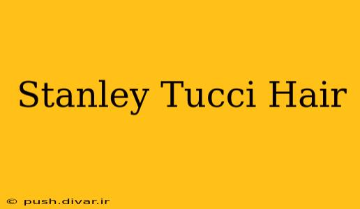 Stanley Tucci Hair