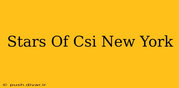 Stars Of Csi New York