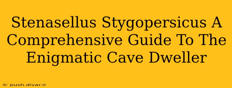 Stenasellus Stygopersicus A Comprehensive Guide To The Enigmatic Cave Dweller